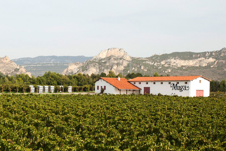 Bodegas Muga nổi bật với sự kết hợp hài hòa giữa phương pháp truyền thống và kỹ thuật hiện đại trong sản xuất rượu vang