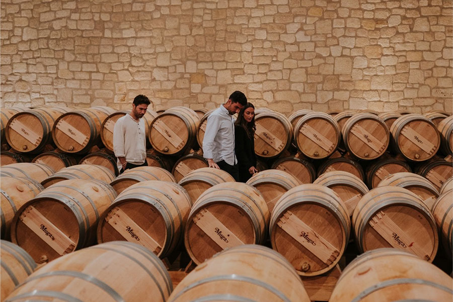 Bodegas Muga sử dụng gỗ sồi trong suốt toàn bộ quá trình sản xuất rượu vang - từ lên men, ủ rượu đến lưu trữ