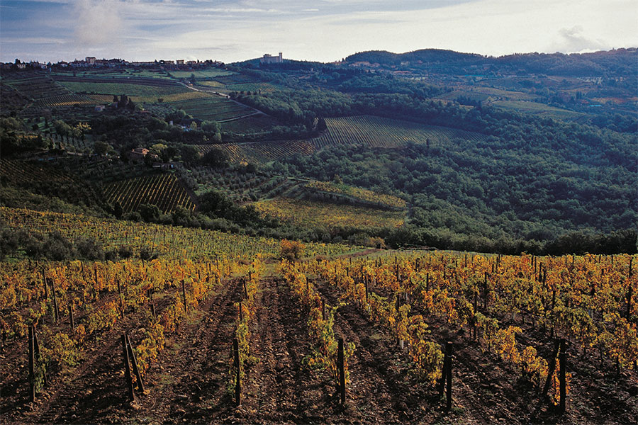 Castellare Di Castellina - Di sản rượu vang Ý từ trái tim Chianti Classico