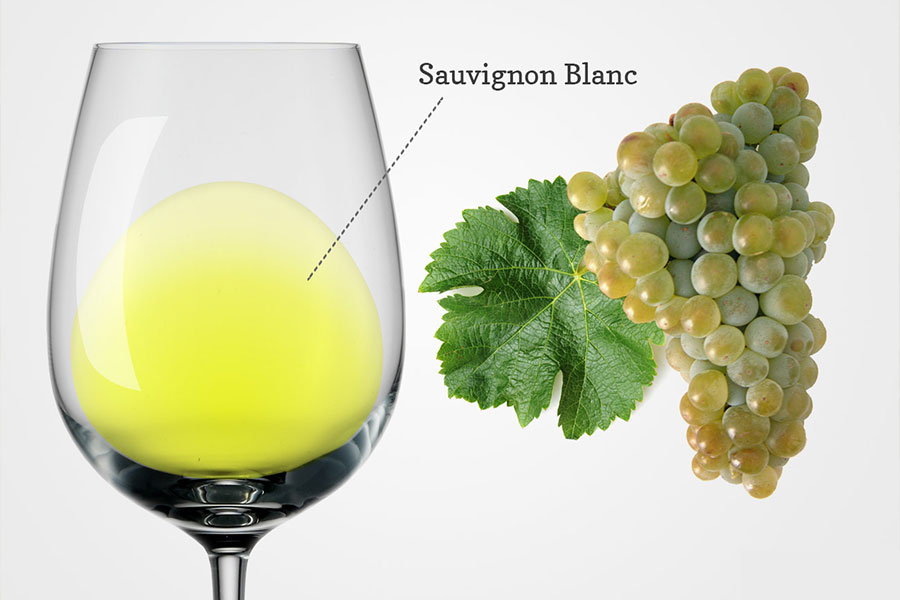 Sauvignon Blanc – Giống Nho Cho Ra Đời Rượu Vang Trắng Cá Tính, Tươi Mới