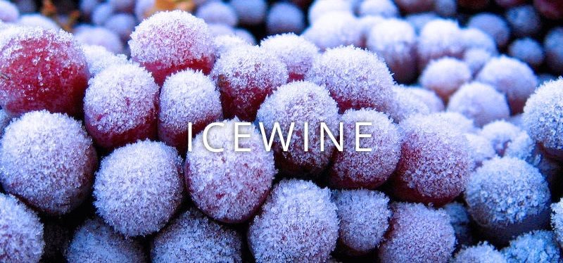 Rượu vang Ice Wine