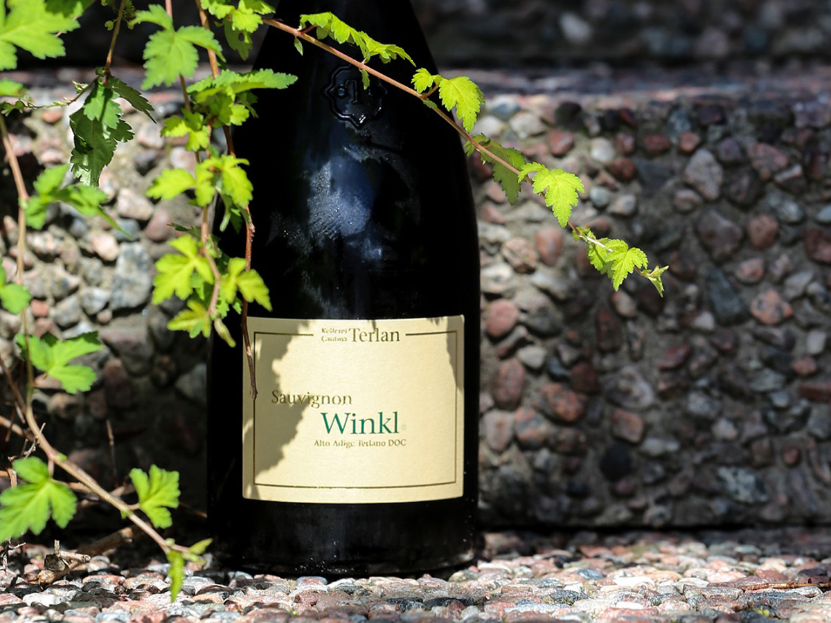 Rượu vang Ý Winkl Sauvignon Blanc 2