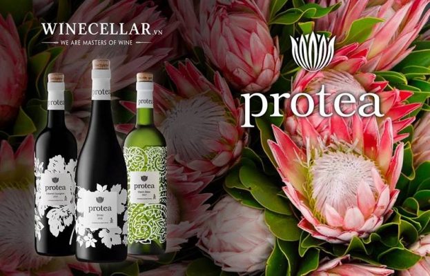Rượu vang Protea
