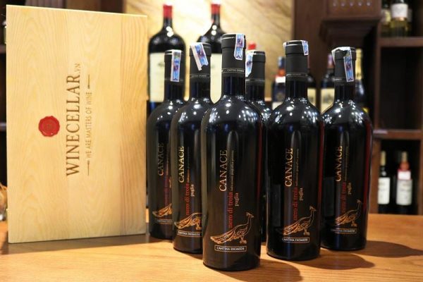 Rượu vang Canace Nero di Troia 2016 New Label