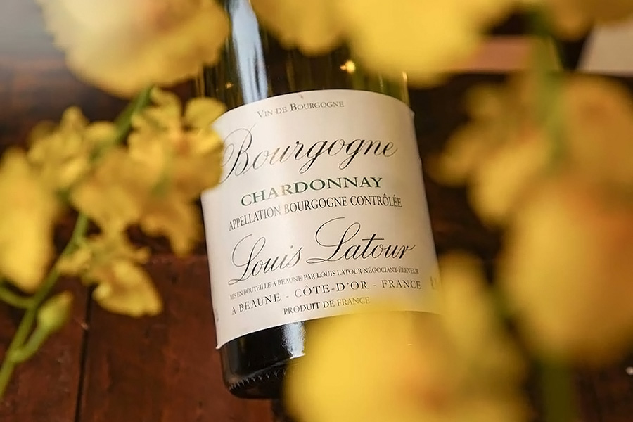 Hướng dẫn thưởng thức rượu vang trắng Bourgogne Chardonnay Louis Latour