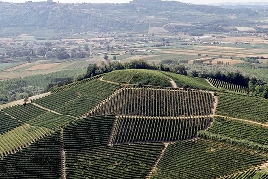 Produttori Del Barbaresco - Nhà làm vang xuất sắc từ Ý