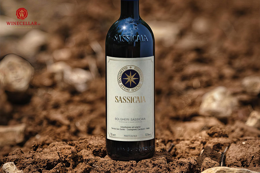 Sassicaia - Hương vị rượu vang Super Tuscan nguyên bản 