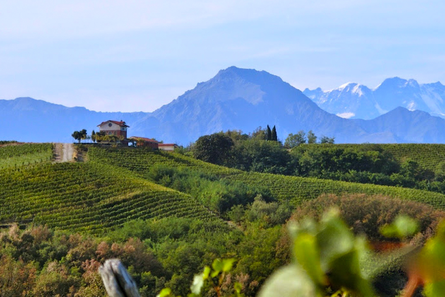 Đặc trưng khí hậu và thổ nhưỡng của Vigna Valferana