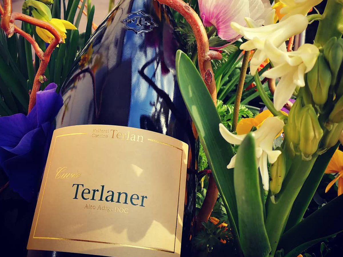 Rượu vang Ý Cuvée Terlaner