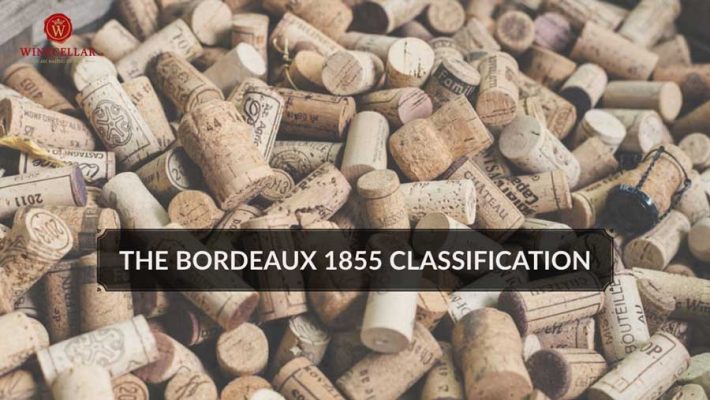 Hệ thống phân loại rượu vang Bordeaux 1855 tại Médoc
