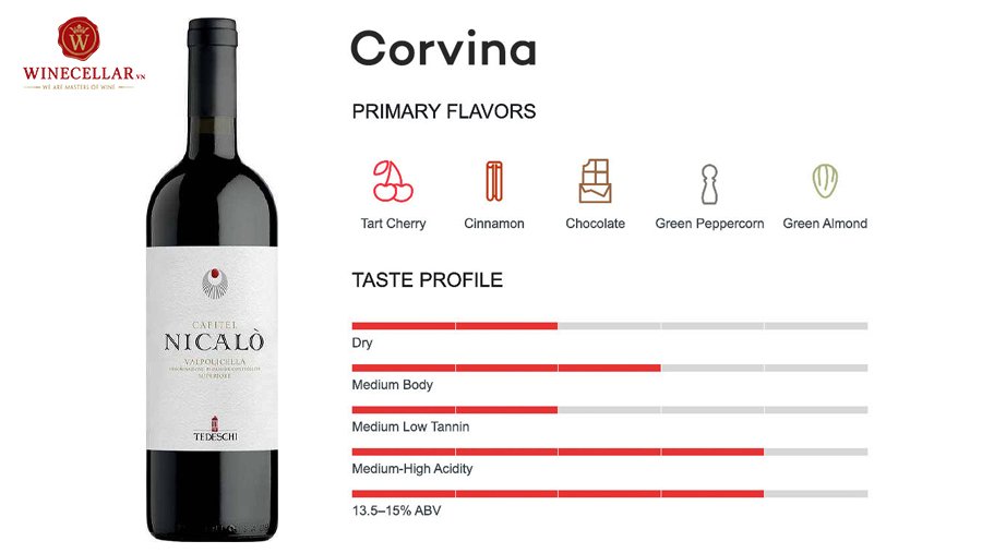 tổng quan hương vị rượu vang Corvina