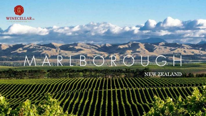 Khám phá vùng rượu vang Marlborough