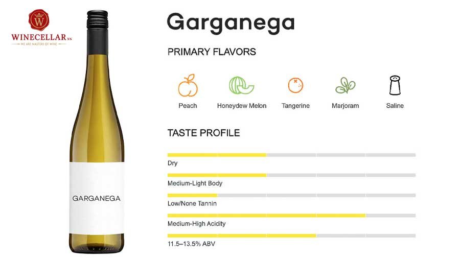 tổng quan hương vị rượu vang Garganega 