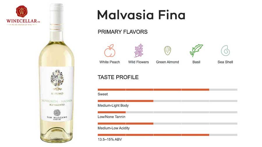 tổng quan hương vị rượu vang Malvasia