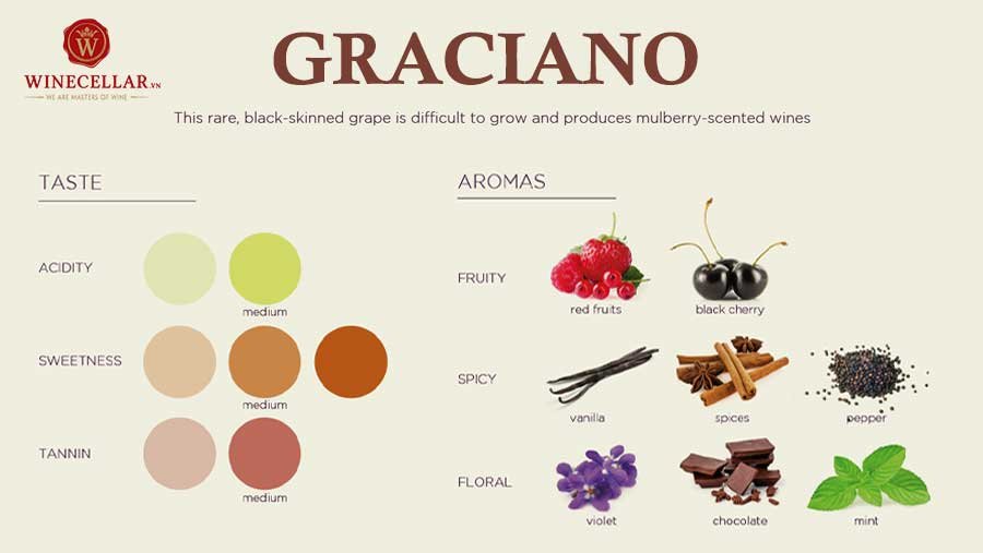 Tổng quan hương vị rượu vang Graciano