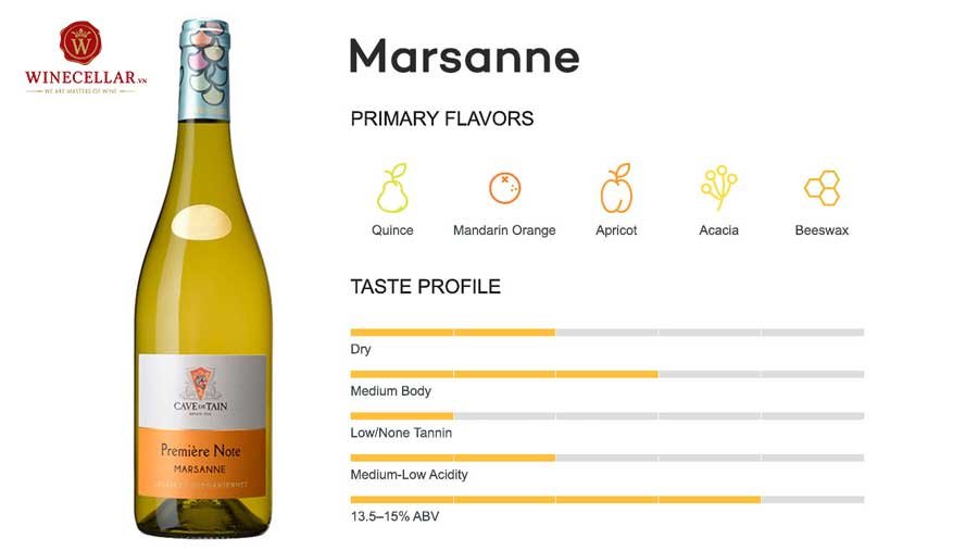 tổng quan hương vị rượu vang Marsanne