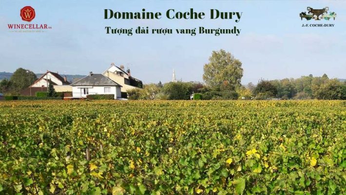 Domaine Coche Dury - Tượng đài rượu vang Burgundy