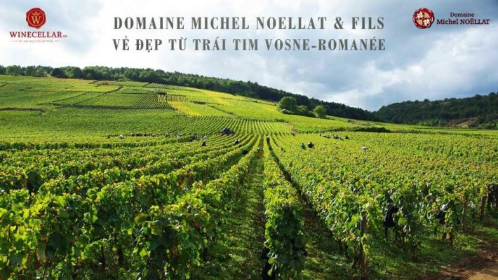 Domaine Michel Noellat & Fils – Vẻ đẹp từ trái tim Vosne-Romanée