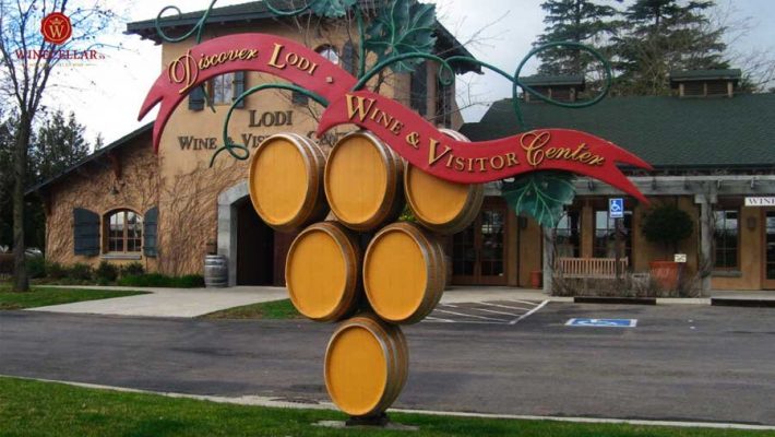 Khám phá vùng rượu vang Lodi, California