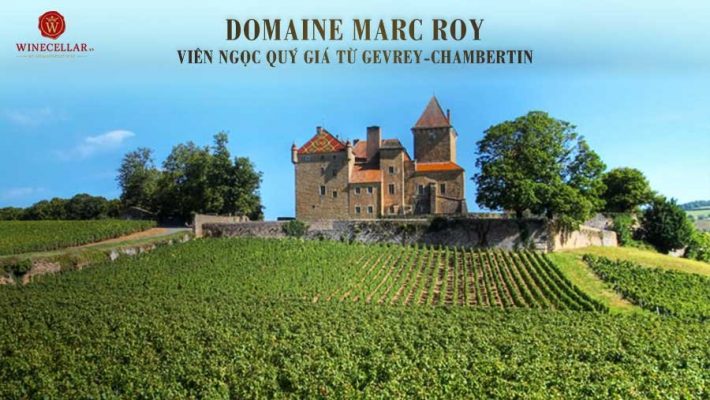 Khám phá điền trang Domaine Marc Roy