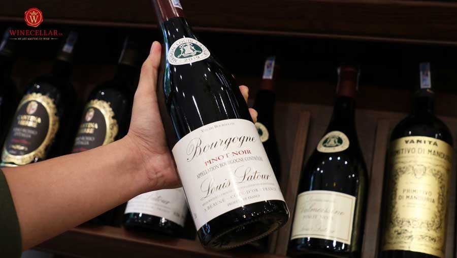 Rượu vang Louis Latour Bourgogne Pinot Noir - chai vang hấp dẫn cho buổi hẹn đầu tiên