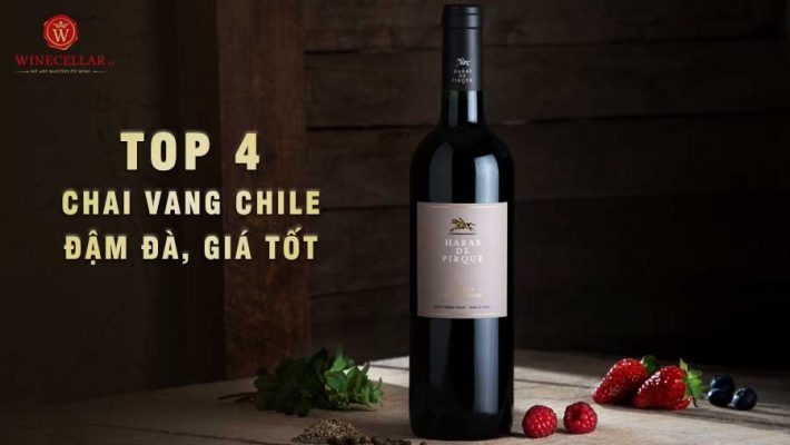 TOP 4 chai vang Chile đậm đà, giá tốt