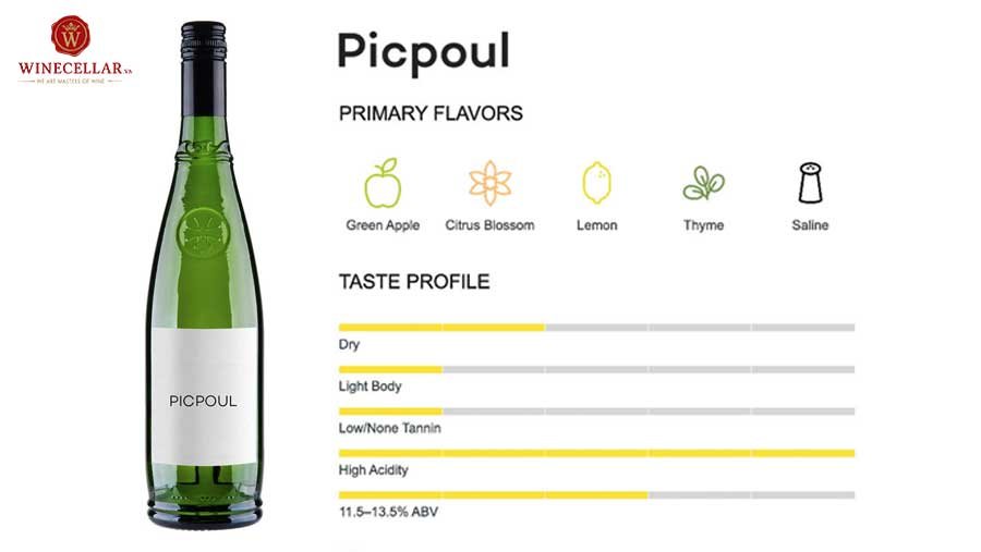 Tổng quan hương vị rượu vang Picpoul