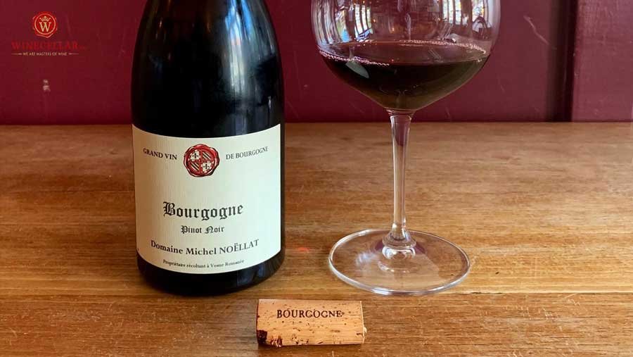 Rượu vang Bourgogne Pinot Noir Domaine Michel Noellat