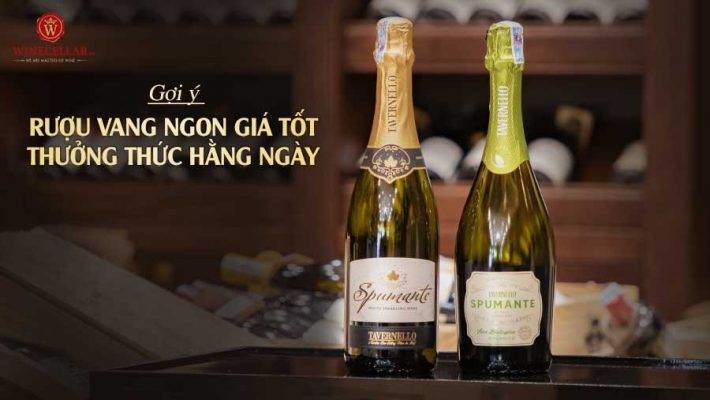 Rượu vang ngon giá tốt thưởng thức hằng ngày