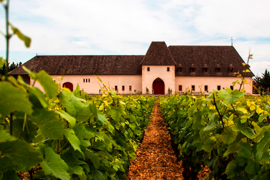 Château de Marsannay có lịch sử làm rượu từ thế kỷ 12