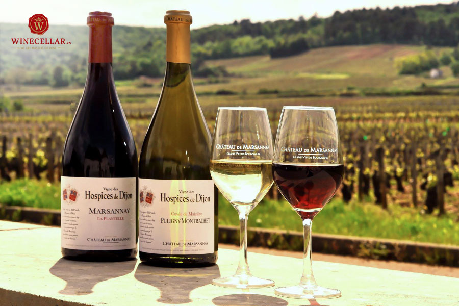 Hương vị rượu vang trắng Puligny-Montrachet Cuvée De Maizière 2019