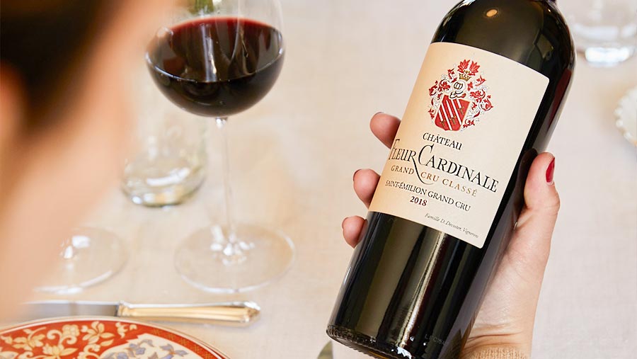 Gợi ý quà tặng 8/3 cho phụ nữ yêu rượu vang 1