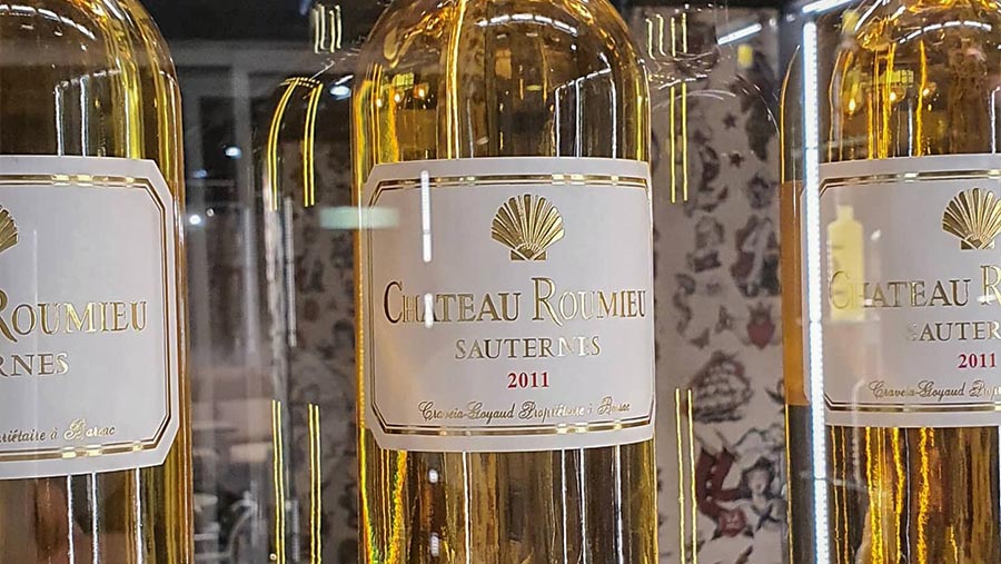 Gợi ý quà tặng 8/3 cho phụ nữ yêu rượu vang 2