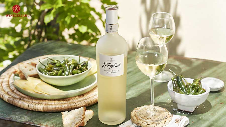 Freixenet Sauvignon Blanc - Rượu vang trắng hấp dẫn trong bộ sưu tập Spanish Wine Collection từ thương hiệu danh tiếng hàng đầu Tây Ban Nha