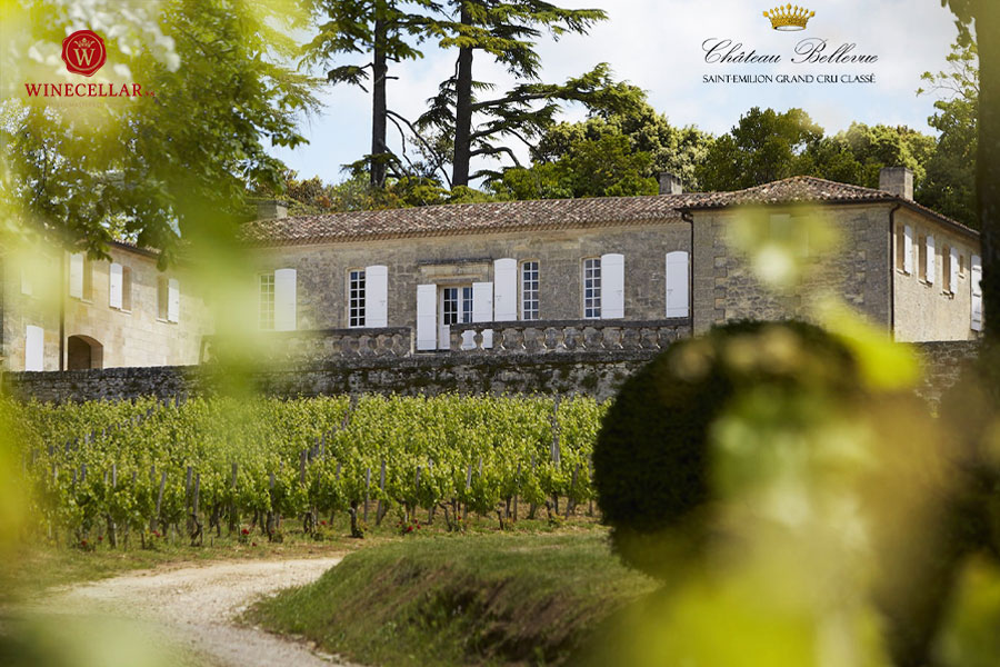 Château Bellevue - Tôn vinh hương vị giống nho Merlot ở Saint-Émilion