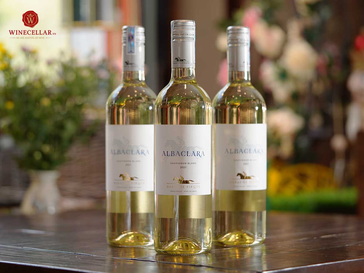 Khám phá hương vị rượu vang Chile cùng Haras de Pirque 2 - Albaclara Sauvignon Blanc