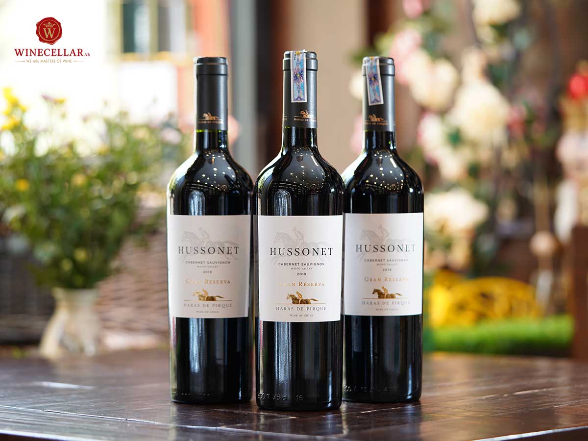 Khám phá hương vị rượu vang Chile cùng Haras de Pirque 3 - Hussonet Cabernet Sauvignon