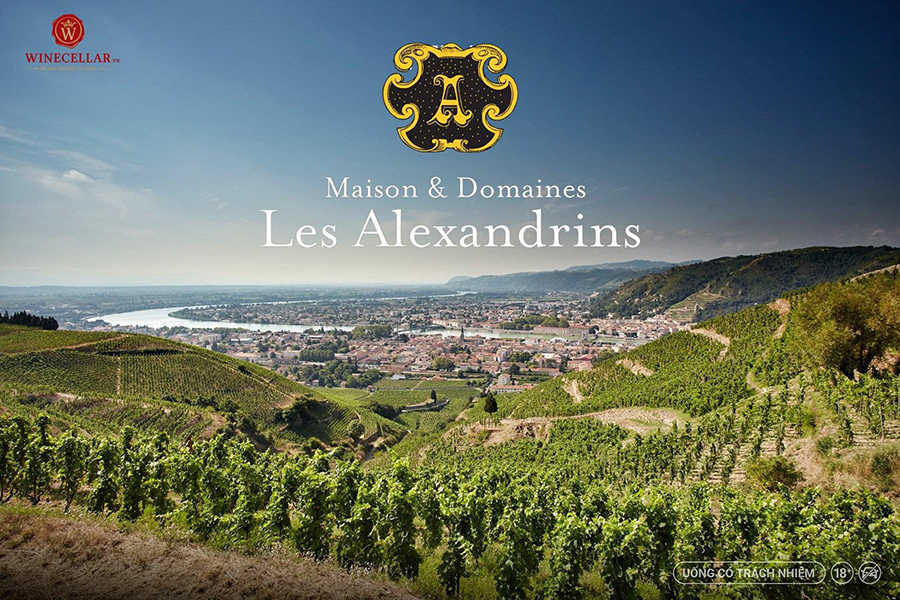 Tổng quan về thương hiệu Maison Les Alexandrins 