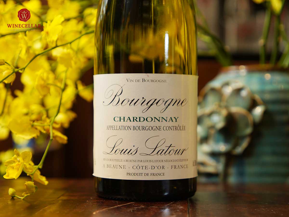 Rượu vang trắng - Thức uống không thể thiếu cho mùa hè - Louis Latour Bourgogne Chardonnay