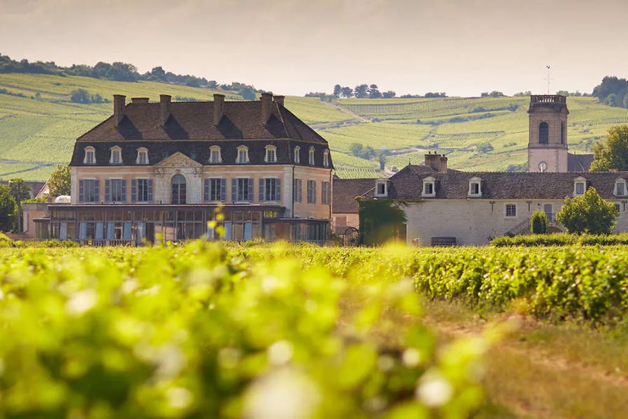 Thổ nhưỡng vườn nho Clos Marey-Monge