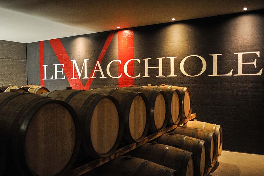 Giống nho sản xuất rượu vang Ý Macchiole Paleo Rosso 2018