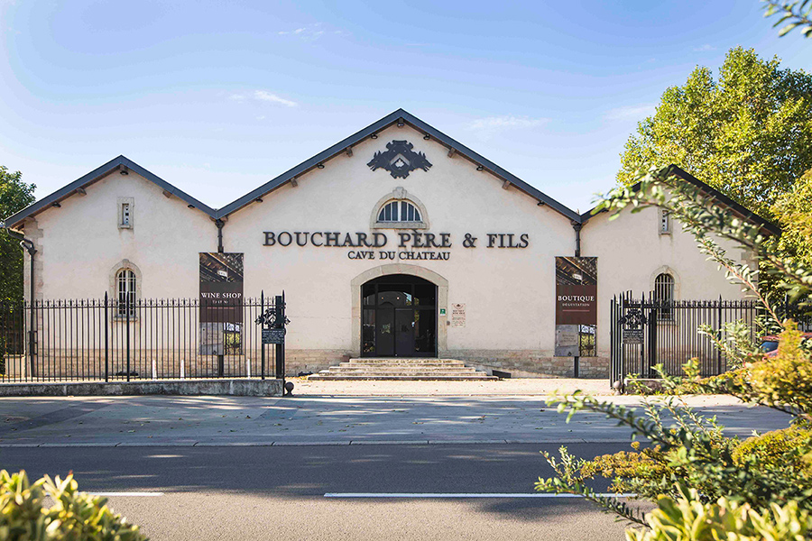 Chevalier-Montrachet - Vườn nho sản sinh nên những dòng vang trắng tuyệt hảo nhất tại Bourgogne