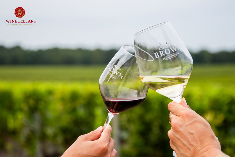 Hương vị rượu vang trắng Château Brown Blanc 2020