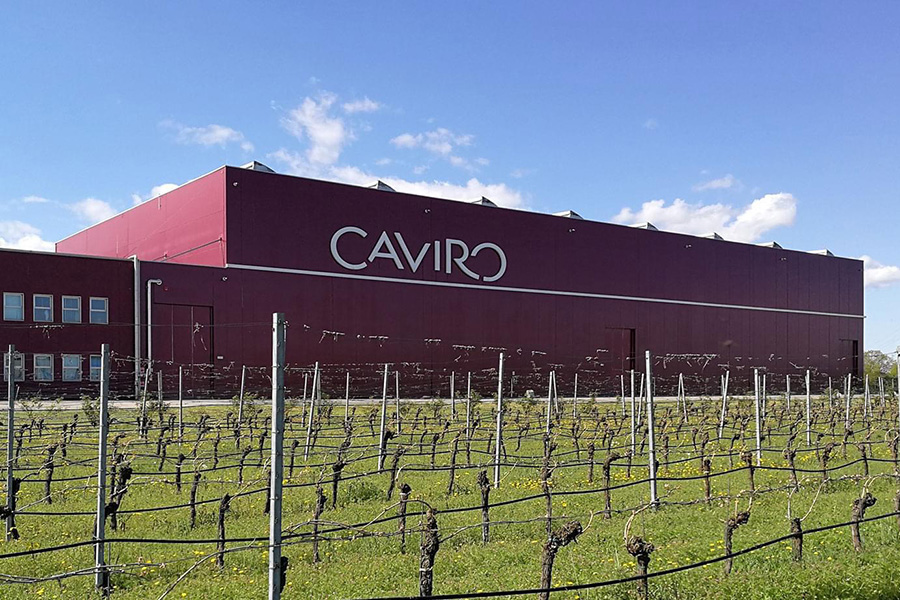 Rượu vang đỏ từ tập đoàn Caviro