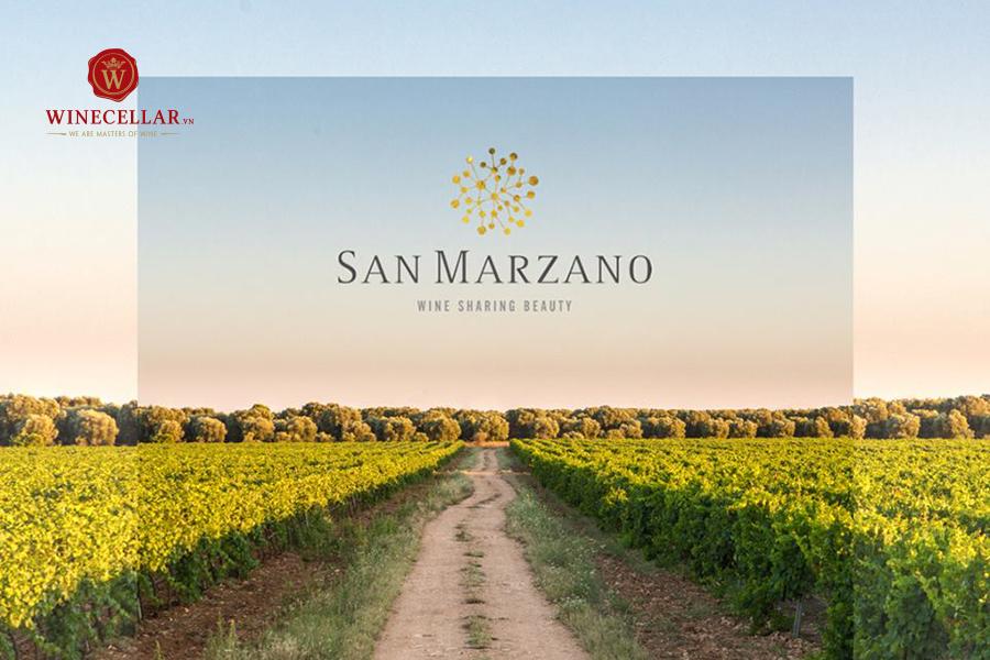 Từ nhà sản xuất rượu vang Ý danh tiếng hàng đầu - San Marzano