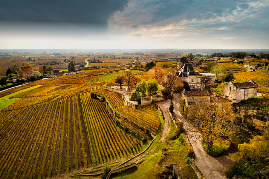 Château Ausone là một trong những điền trang sản xuất rượu vang ngon và đắt đỏ nhất Bordeaux