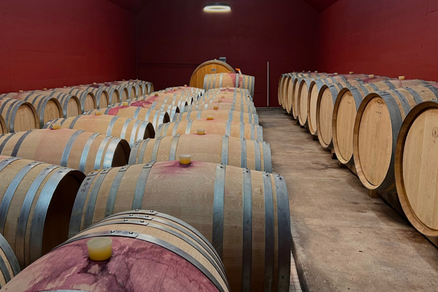 Vang trắng Pháp danh tiếng từ khu vực Sancerre, Loire Valley