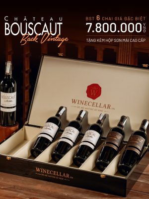 BST Sưu tập 6 chai Chateau Bouscaut Back Vintage giá đặc biệt