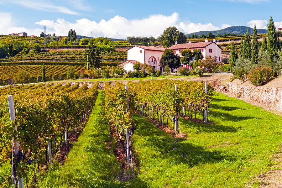 Từ “thung lũng rượu vang” Valpolicella 