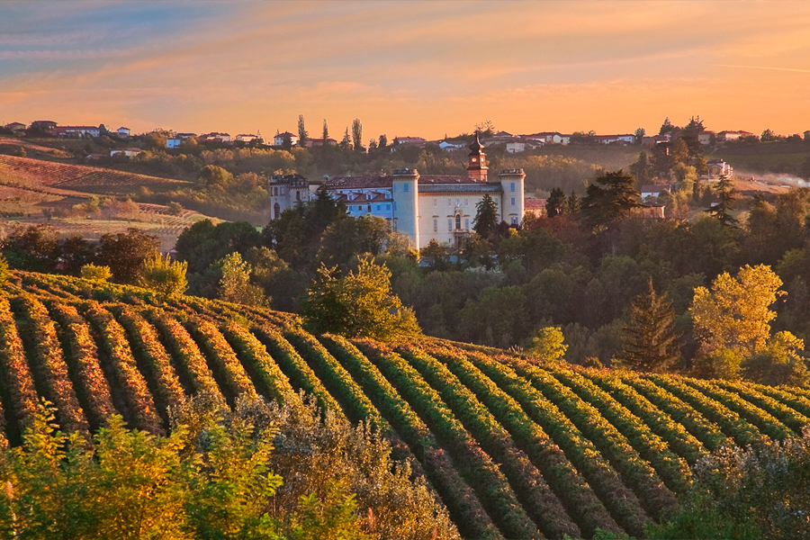 Quy trình sản xuất rượu vang đỏ Vietti Barolo Castiglione 2013